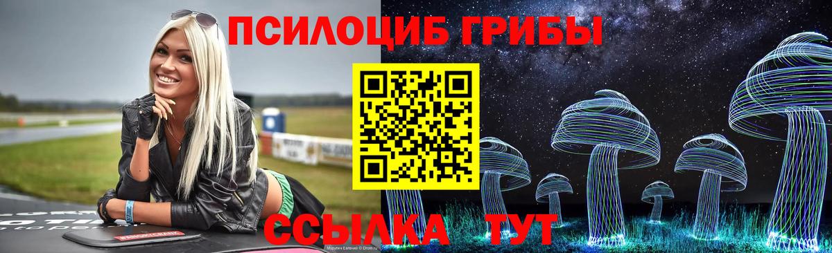 Галлюциногенные грибы Psilocybe  Вход с VPN  Уварово 